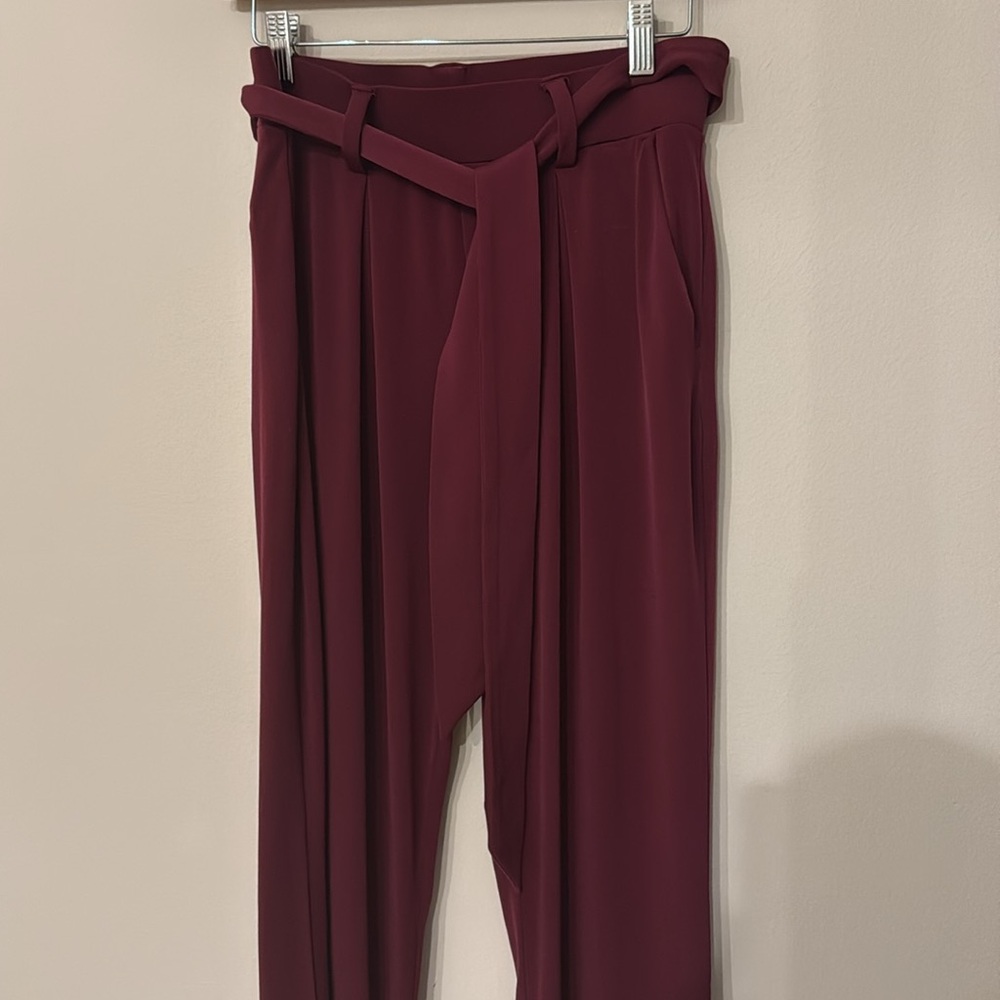 Express belted pants